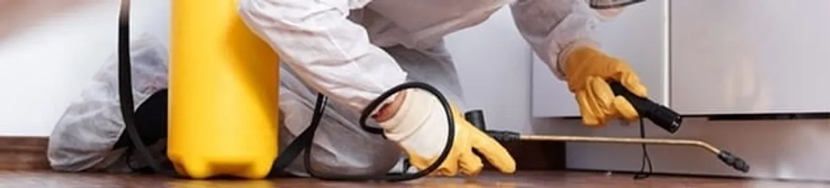 Roach exterminator treating cracks and crevices along kitchen baseboards in Akron, OH