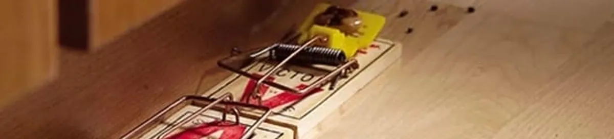 Rodent trap set indoors for rodent control and prevention in Akron, OH